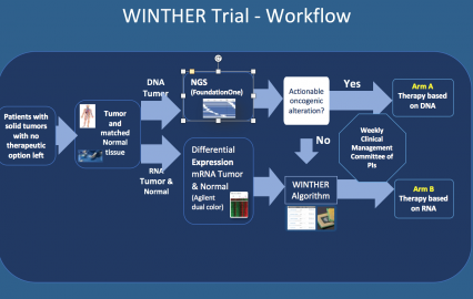 WINTHER Study Workflow (click to enlarge)